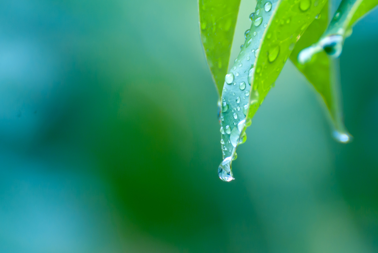 露點的定義及其測量方式？