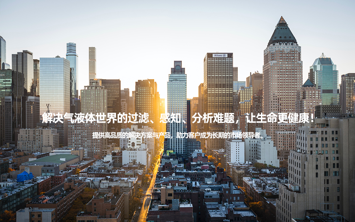 中文官網網站圖