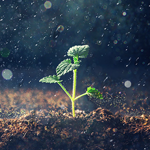 土壤含水量測量為什么這么重要？