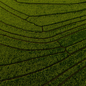 農(nóng)業(yè)數(shù)據(jù)分析—溫濕度傳感器采集數(shù)據(jù)